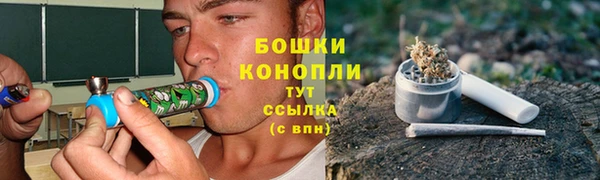 дмт Елабуга