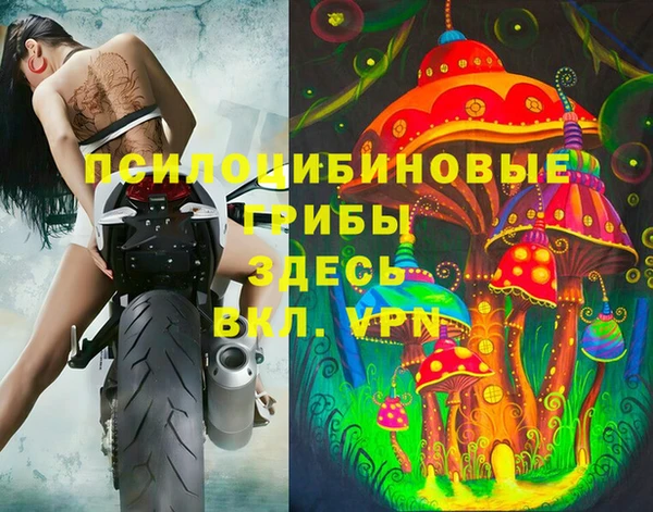 дмт Елабуга
