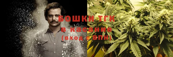 дмт Елабуга