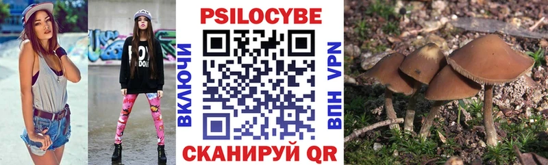 Галлюциногенные грибы Psilocybine cubensis  Купить закладки  Ивдель 