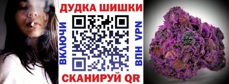 Шишки марихуана план  Купить где  Ивдель 